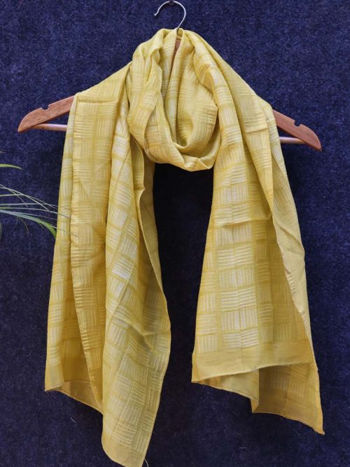 Shibori Chanderi Stole